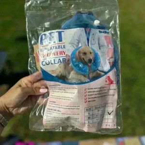 Pet Inflatable Collar Recovery Medium